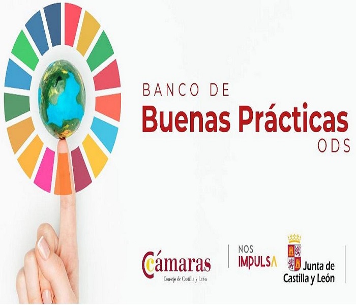 El Consejo de Cámaras de Castilla y León lanza el banco de buenas prácticas ODS para impulsar el cumplimiento de los ejes de la Agenda 2030 en el tejido empresarial