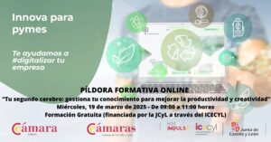 Píldora Formativa Online «Tu segundo cerebro: gestiona tu conocimiento para mejorar la productividad y creatividad»
