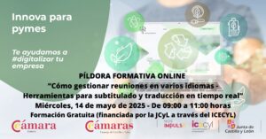 20250514 Cómo gestionar reuniones en varios idiomas herramientas