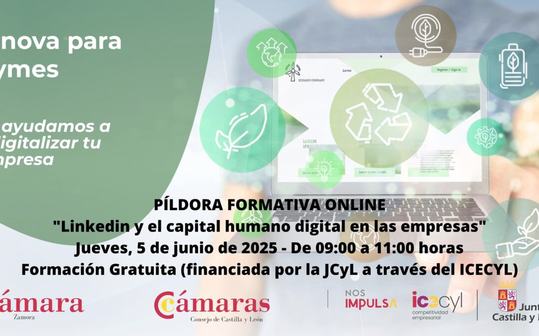 Píldora Formativa Online «Linkedin y el capital humano digital en las empresas»