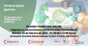 Píldora Formativa Online «Impulsa tu conocimiento con el increíble NotebookLM»