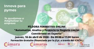 Píldora Formativa Online «Automatiza, Analiza y Potencia tu Negocio con IA: Conviértete en Experto»