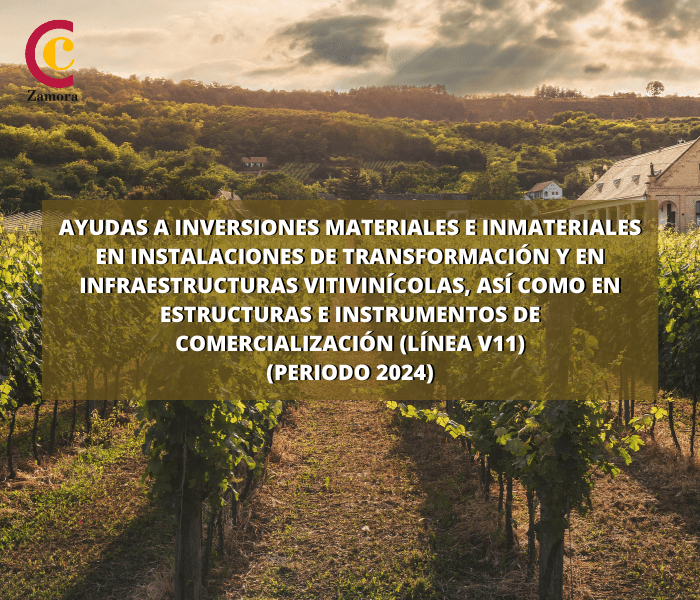 Ayudas a inversiones materiales e inmateriales en instalaciones de transformación y en infraestructuras vitivinícolas, así como en estructuras e instrumentos de comercialización.