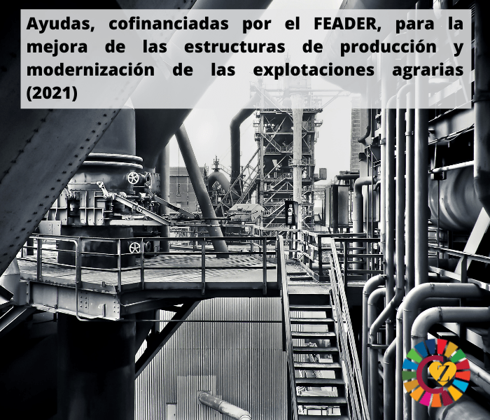 Ayudas, cofinanciadas por el FEADER, para la mejora de las estructuras de producción y modernización de las explotaciones agrarias (2021)