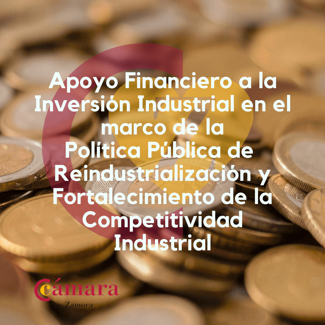 Apoyo financiero a la inversión industrial de carácter productivo - Reindus 2020