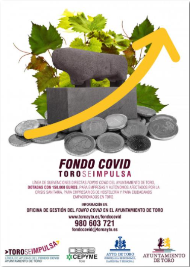 Línea de Subvenciones Directas Fondo Covid del Ayuntamiento de Toro