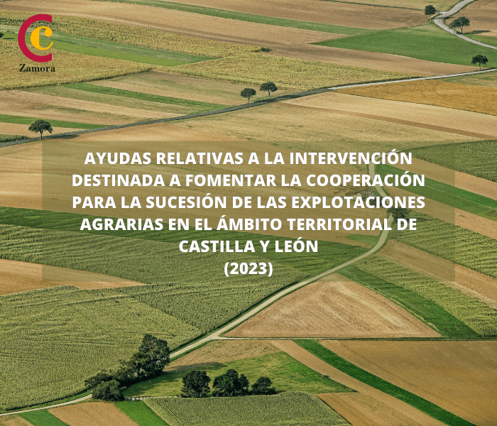 Ayudas relativas a la intervención destinada a fomentar la cooperación para la sucesión de las explotaciones agrarias en el ámbito territorial de Castilla y León, contemplada en el Plan Estratégico de la PAC 2023- 2027