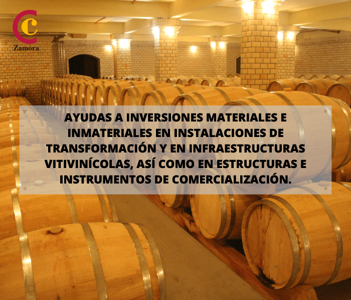 Ayudas a inversiones materiales e inmateriales en instalaciones de transformación y en infraestructuras vitivinícolas, así como en estructuras e instrumentos de comercialización.