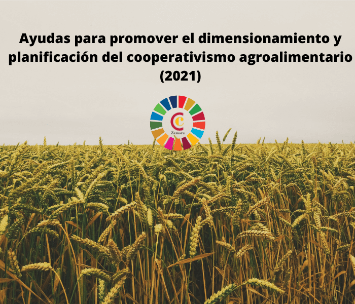 Ayudas para promover el dimensionamiento y planificación del cooperativismo agroalimentario (2021)