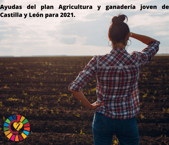 Ayudas del plan agricultura y ganadería joven de Castilla y León para 2021