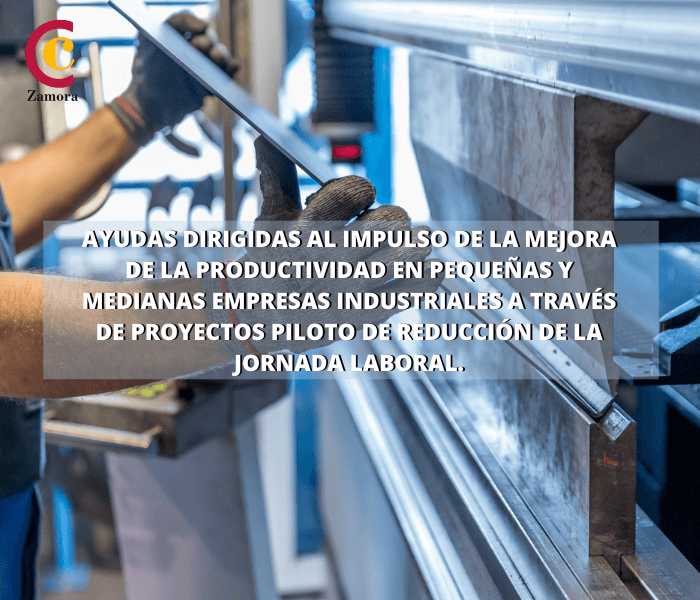 Ayudas dirigidas al impulso de la mejora de la productividad en pequeñas y medianas empresas industriales a través de proyectos piloto de reducción de la jornada laboral.