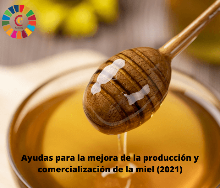 Ayudas para la mejora de la producción y comercialización de la miel (2021)