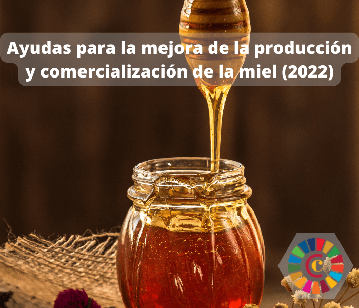 Ayudas para la mejora de la producción y comercialización de la miel (2022)