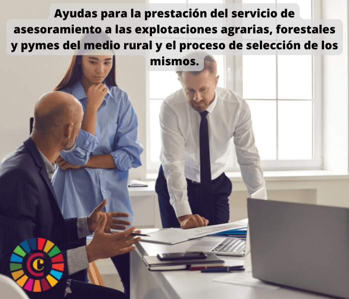 Ayudas para la prestación del servicio de asesoramiento a las explotaciones agrarias, forestales y pymes del medio rural y el proceso de selección de entidades de asesoramiento y de usuarios del servicio de asesoramiento