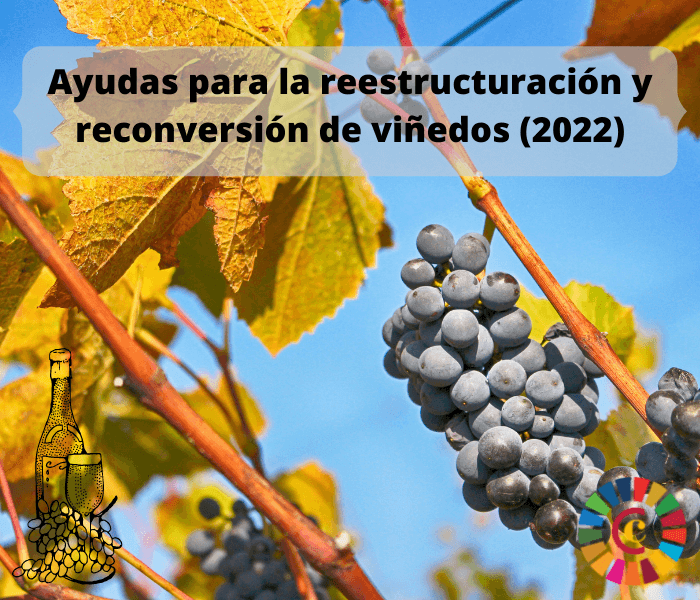 Ayudas para la reestructuración y reconversión de viñedos (2022)