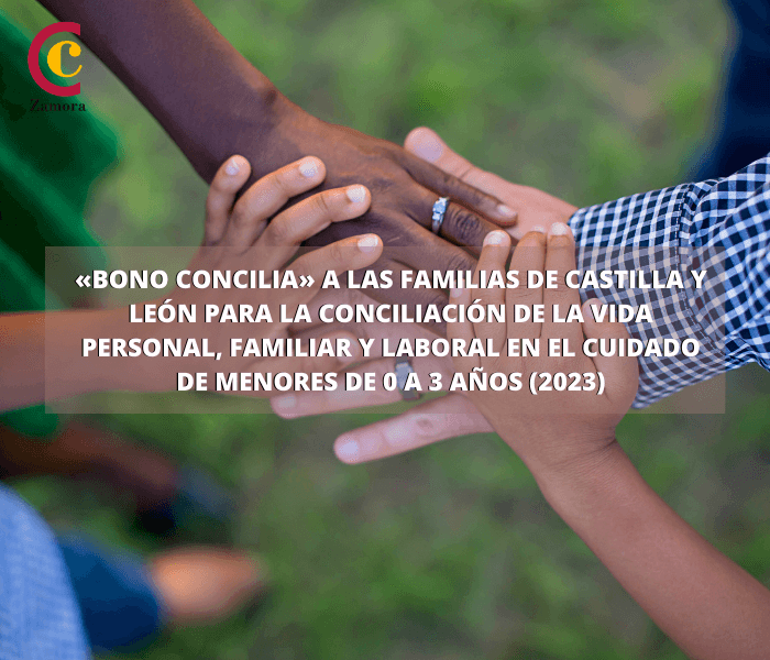 «Bono Concilia» a las familias de Castilla y León para la conciliación de la vida personal, familiar y laboral en el cuidado de menores de 0 a 3 años (2023)