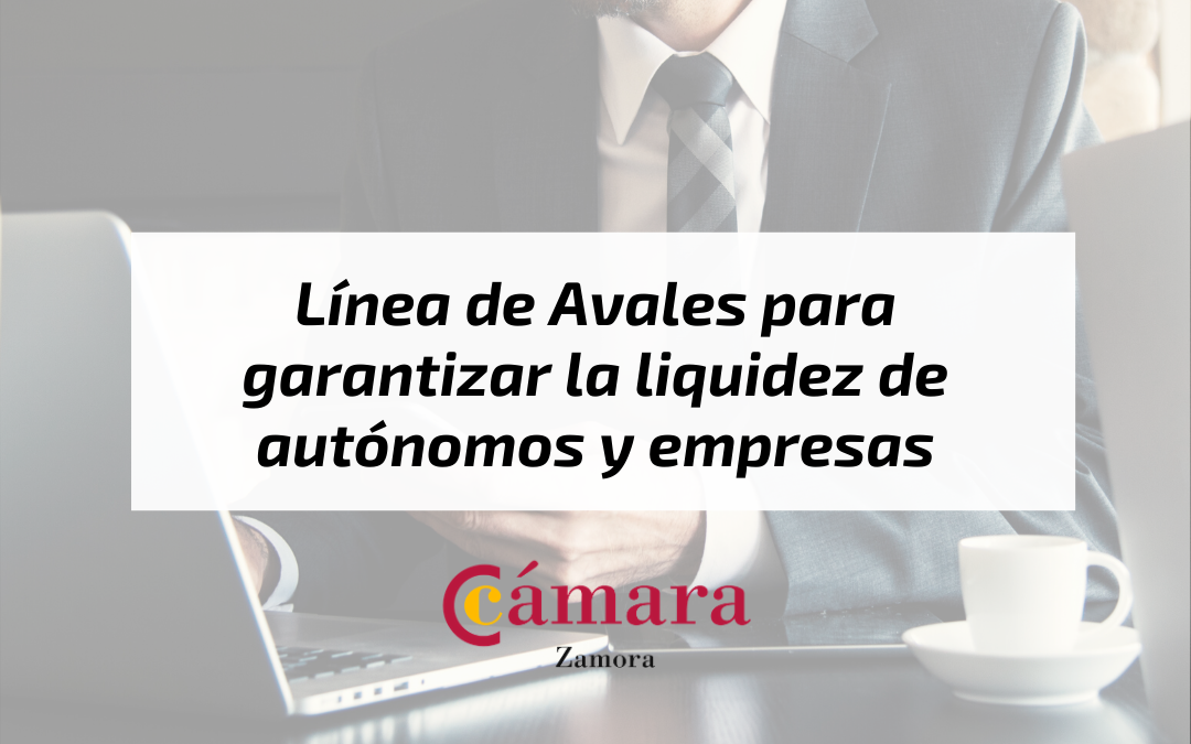 Línea de Avales para garantizar la liquidez de autónomos y empresas