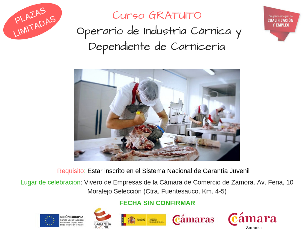 CURSO PICE INDUSTRIA CÁRNICA