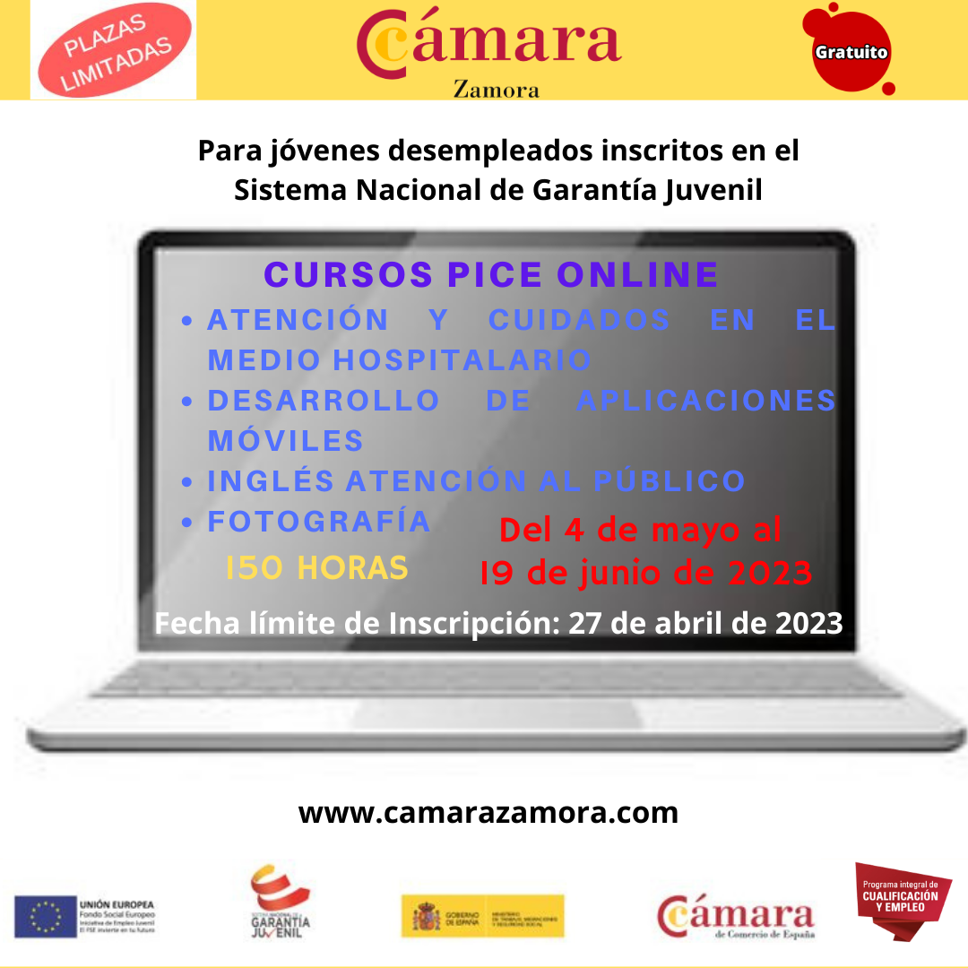 Cursos Pice Online 2023