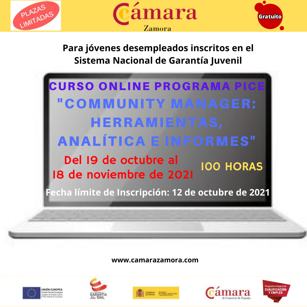 Cursos Pice Online Community Manager