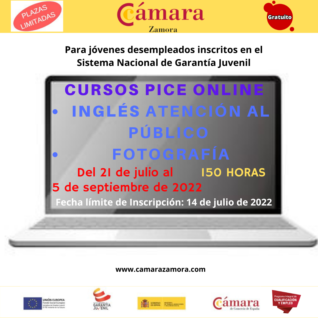 Cursos PICE Online Gratuitos «Inglés Atención al Publico» y «Fotografía»