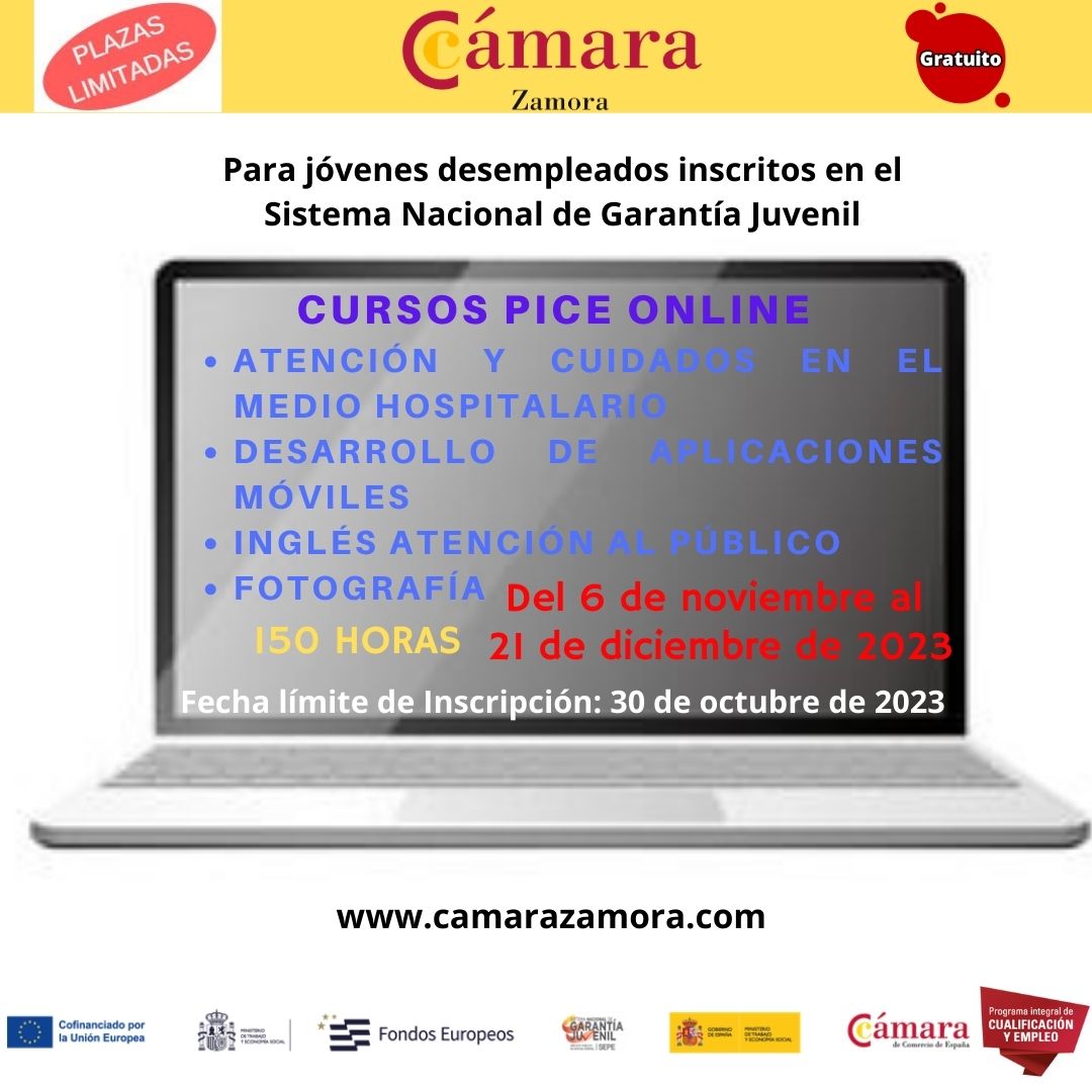 Cursos Pice Online Noviembre