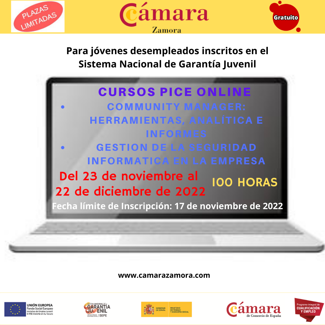 Cursos PICE Online Gratuitos «Community Manager: Herramientas, Analítica e Informes» y «Gestión de la Seguridad Informática en la Empresa»