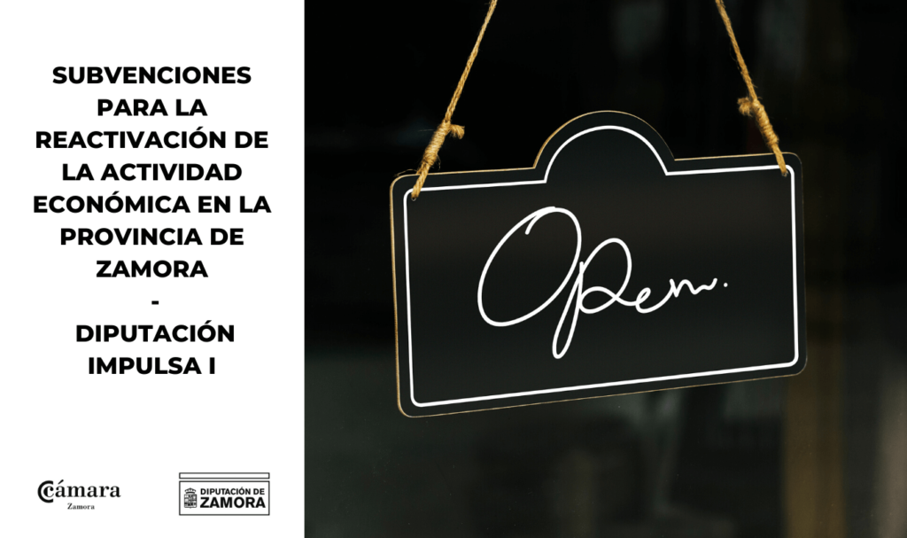 Subvenciones para la reactivación de la actividad económica de la provincia de Zamora (Diputación Impulsa I – Ayudas a Autonómos Y Pymes)