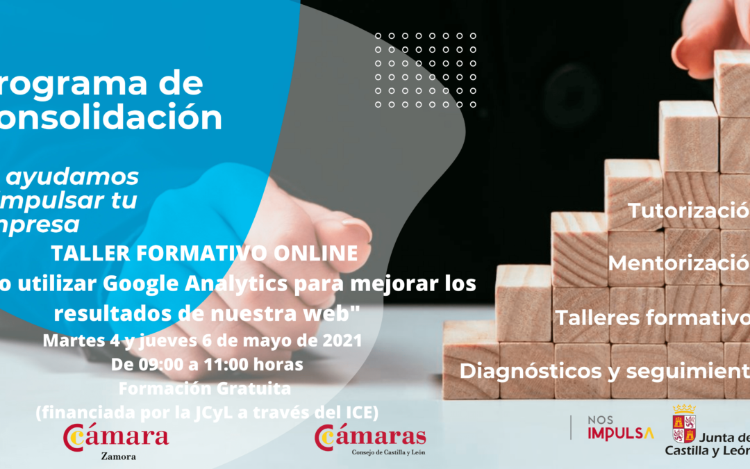 Taller Formativo Online “Cómo utilizar Google Analytics para mejorar los resultados de nuestra web”