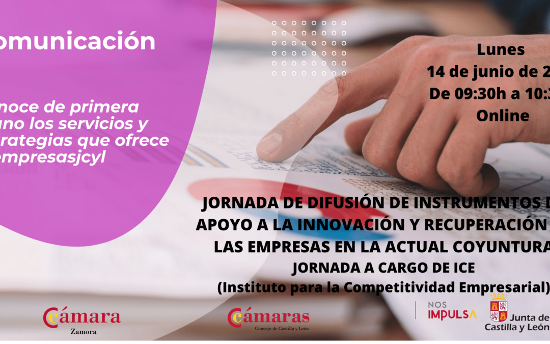 Jornada Online Gratuita «Difusión de instrumentos de apoyo a la innovación y recuperación de las empresas en la actual coyuntura»