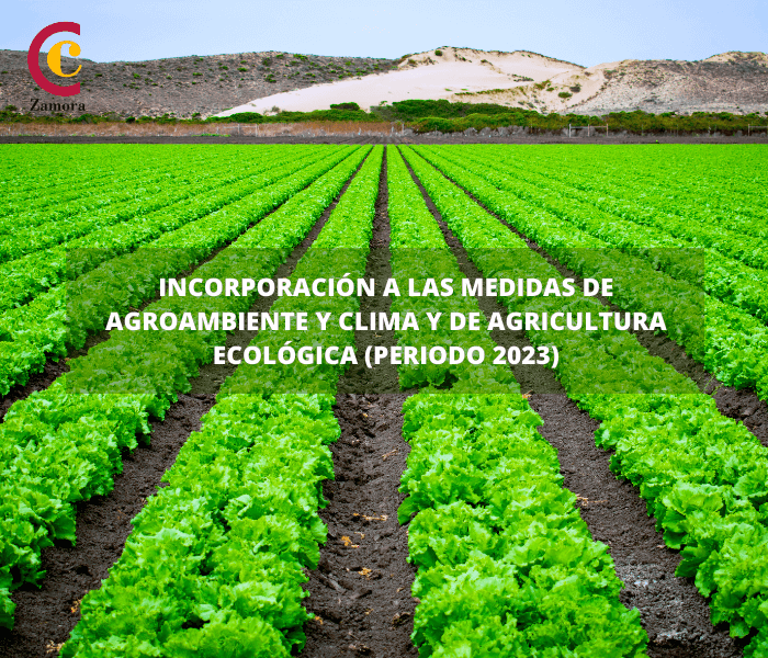 Incorporación a las medidas de Agroambiente y Clima y de Agricultura Ecológica (año 2023)