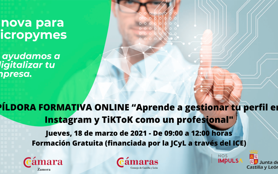 Taller Formativo Online “Aprende a gestionar tu perfil en Instagram y TiKToK como un profesional”