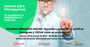 Taller Formativo Online “Aprende a gestionar tu perfil en Instagram y TiKToK como un profesional”