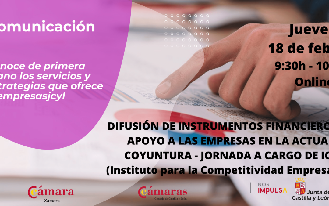 Jornada Informativa Online «Difusión de instrumentos financieros de apoyo a las empresas en la actual coyuntura»