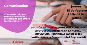 Jornada Informativa Online «Difusión de instrumentos financieros de apoyo a las empresas en la actual coyuntura»