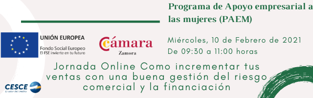 Jornada Online “Cómo incrementar tus ventas con una buena gestión del riesgo comercial y la financiación”