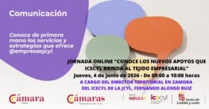 Jornada Online “Conoce los nuevos apoyos que ICECYL brinda al tejido empresarial”
