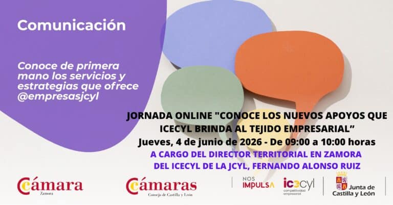 Jornada Online “Conoce los nuevos apoyos que ICECYL brinda al tejido empresarial”