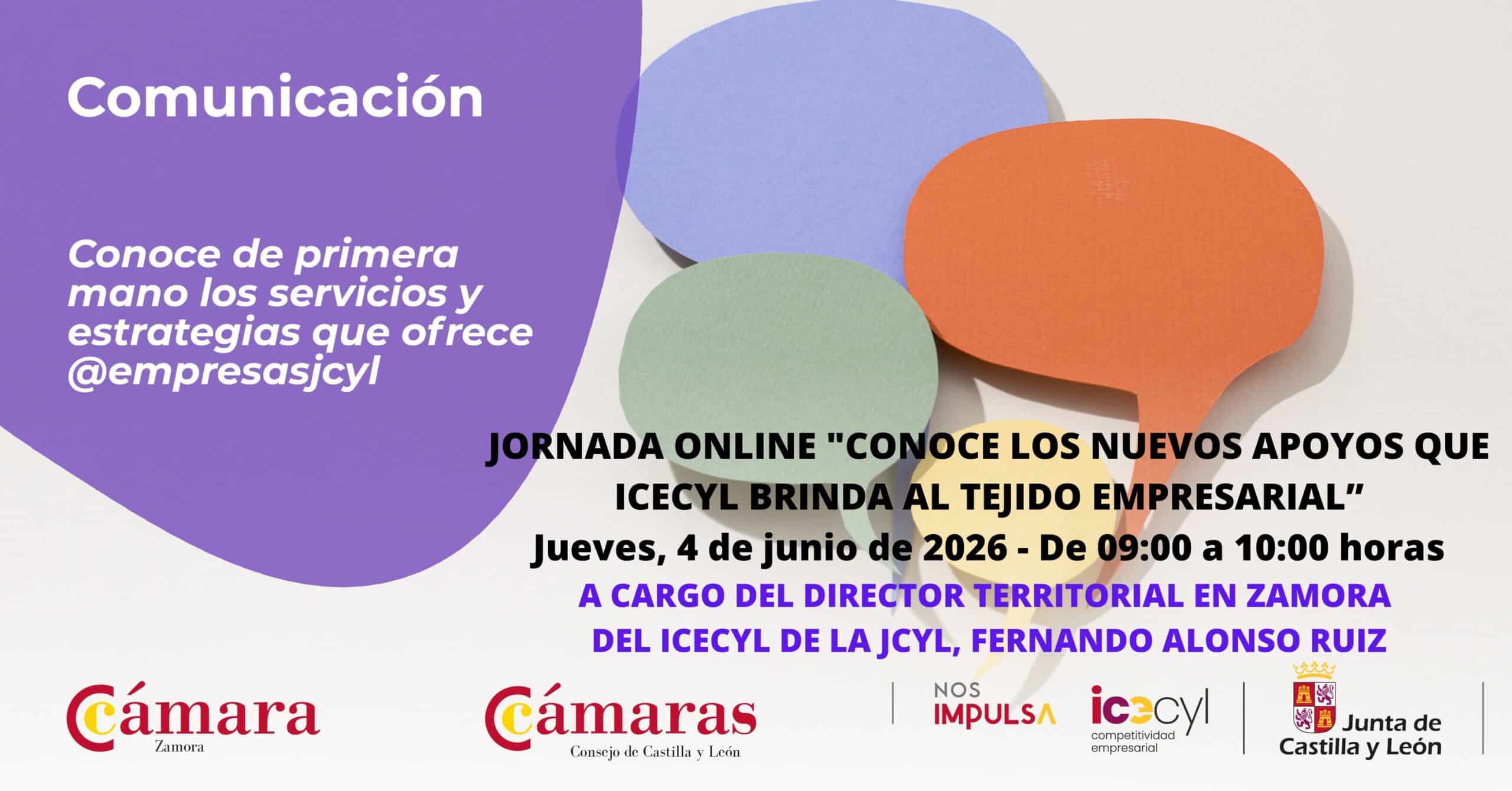 Jornada Online “Conoce los nuevos apoyos que ICECYL brinda al tejido empresarial”