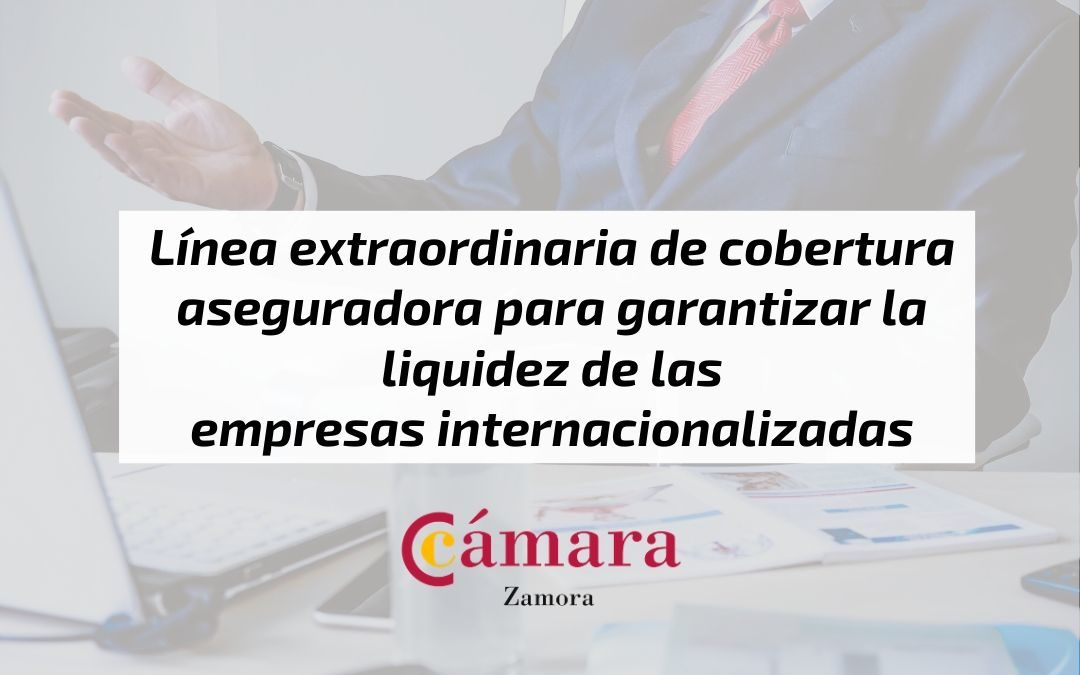 Línea extraordinaria de cobertura aseguradora para garantizar la liquidez de las empresas internacionalizadas