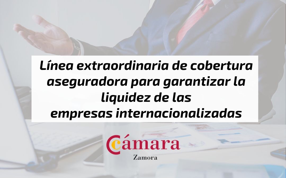 Líneas extraordinaria de cobertura para garantizar liquidez empresas internacionalizadas