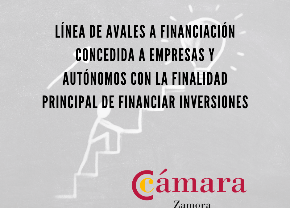 Línea de avales a financiación concedida a empresas y autónomos con la finalidad principal de financiar inversiones