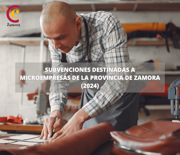 Subvenciones destinadas a Microempresas de la provincia de Zamora para 2024