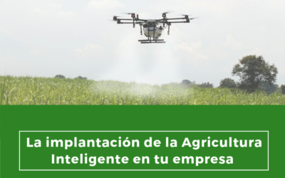 La implantación de la Agricultura Inteligente en tu empresa