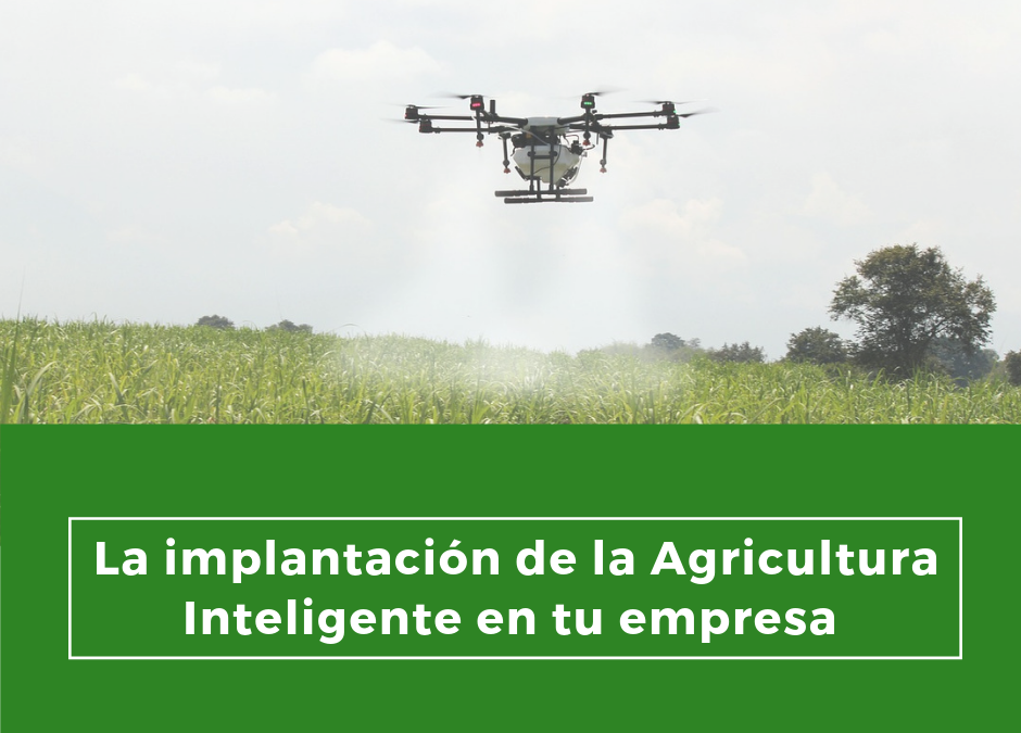 La implantación de la Agricultura Inteligente en tu empresa