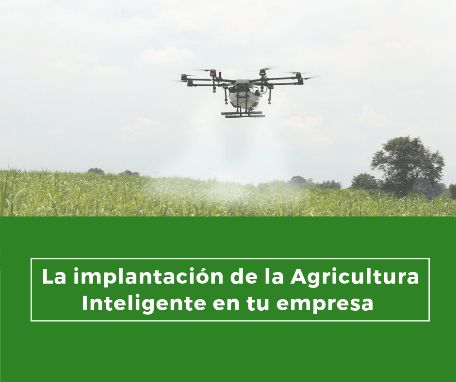 POST AGRICULTURA INTELIGENTE EN TU EMPRESA