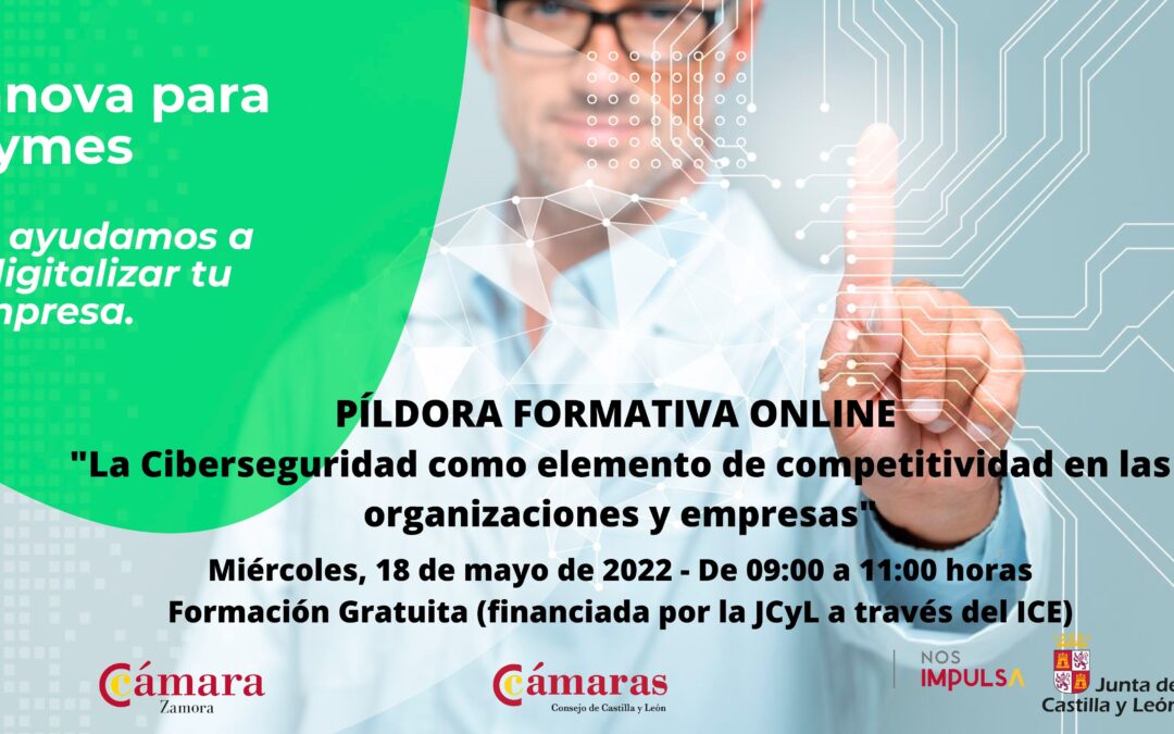 Píldora Formativa Online “La Ciberseguridad como elemento de competitividad en las organizaciones y empresas”