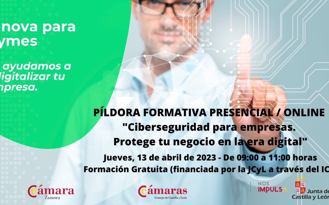 Píldora Formativa Presencial / Online “Ciberseguridad para empresas. Protege tu negocio en la era digital»