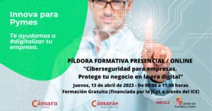 Píldora Formativa Presencial / Online “Ciberseguridad para empresas. Protege tu negocio en la era digital»