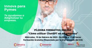 Píldora Formativa Online “Cómo utilizar ChatGPT en mi empresa”